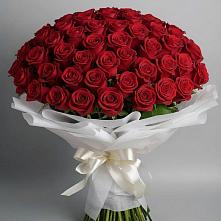 Букет 101 Красная роза Блэк Мэджик в Кизеле