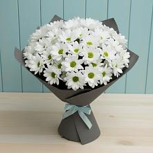 Букет цветов из:  Хризантемы в Кизеле