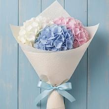 Букет цветов из:  Гортензия в Кизеле
