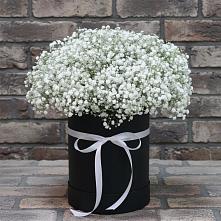 Цветочная композиция из Гипсофила в шляпной коробке в Кизеле