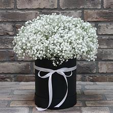 Цветочная композиция из Гипсофила в шляпной коробке в Кизеле