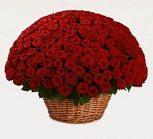 Премиум букет из: Розы в Кизеле