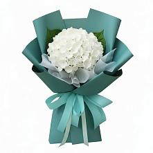 Букет цветов из:  Гортензия #REPLACE_PRED# Кизеле